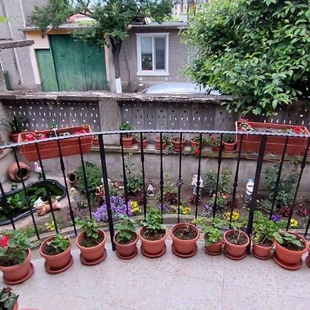Guest House Kukera Pavel Banea Exterior foto