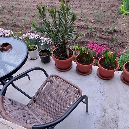 Guest House Kukera Pavel Banea Exterior foto