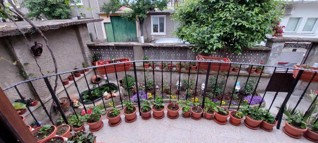 Guest House Kukera Pavel Banea Exterior foto