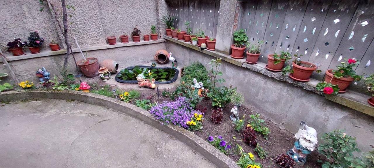 Guest House Kukera Pavel Banea Exterior foto